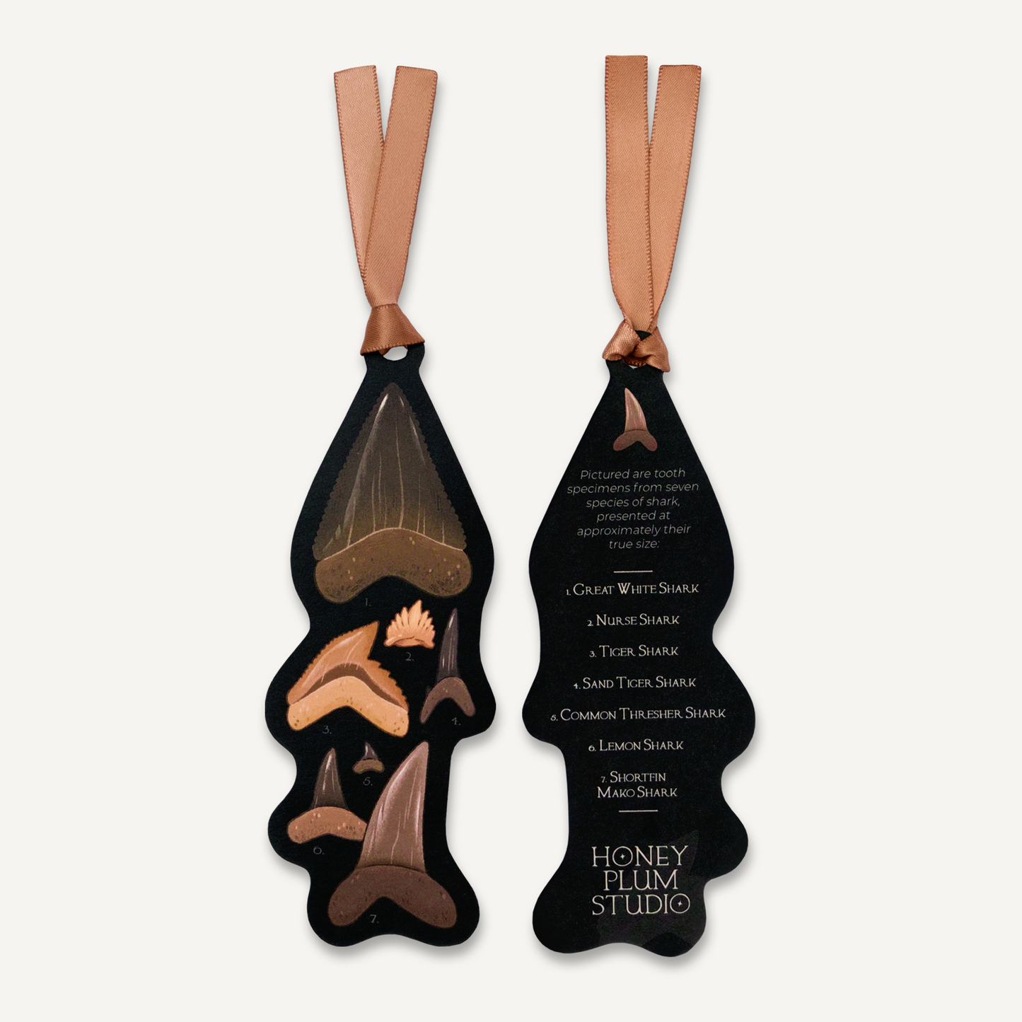 Modern Sharks Discovery Bookmark