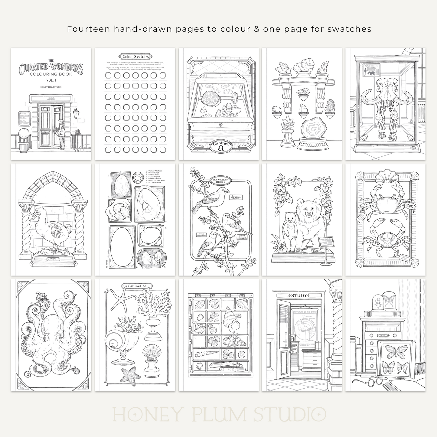 Vol.1 Natural History - The Curated Wonders Colouring Book
