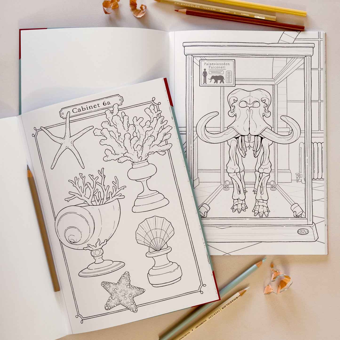 Vol.1 Natural History - The Curated Wonders Colouring Book