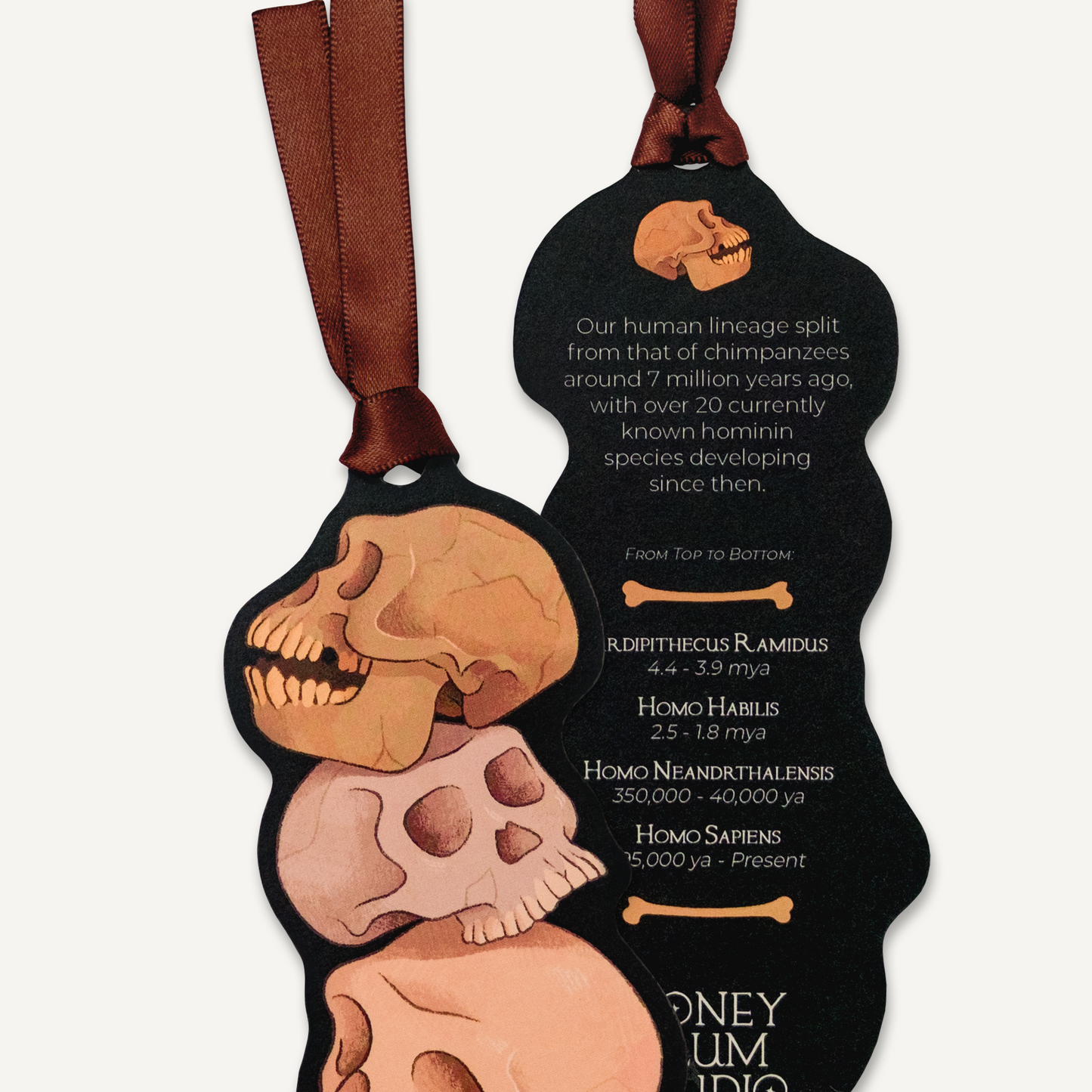 Ancestors Discovery Bookmark